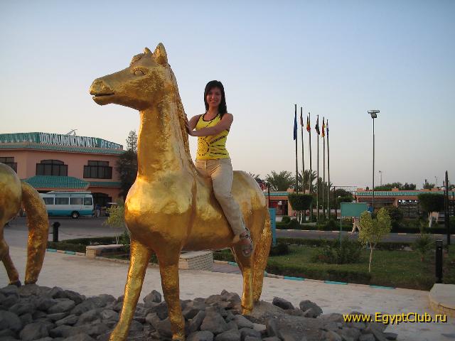 �� ����!