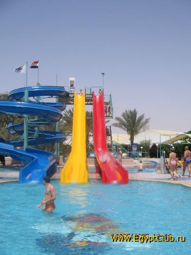 ����� ������� ���