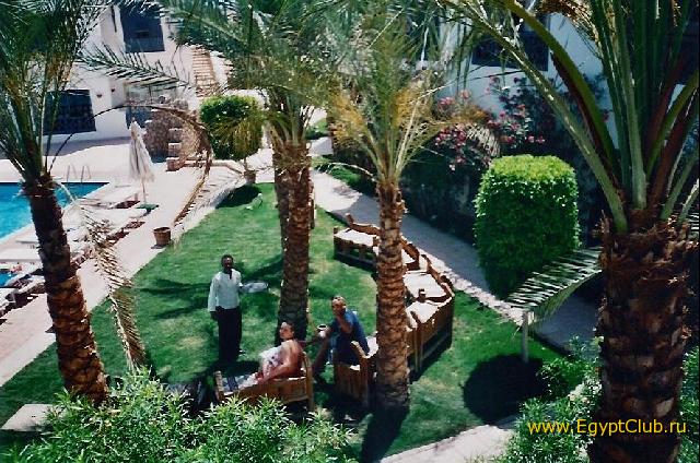 Al Diwan - ���