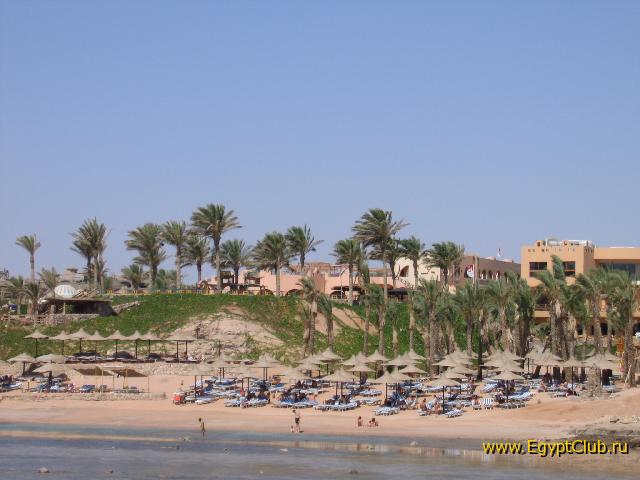 ���� �����