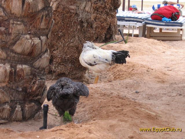 ��������� ��������� �������