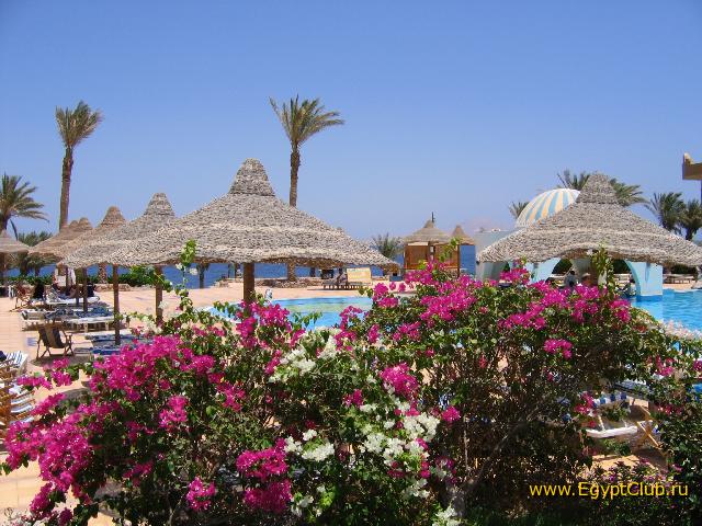 ����� �������