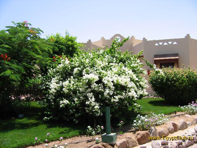 ���������� �����