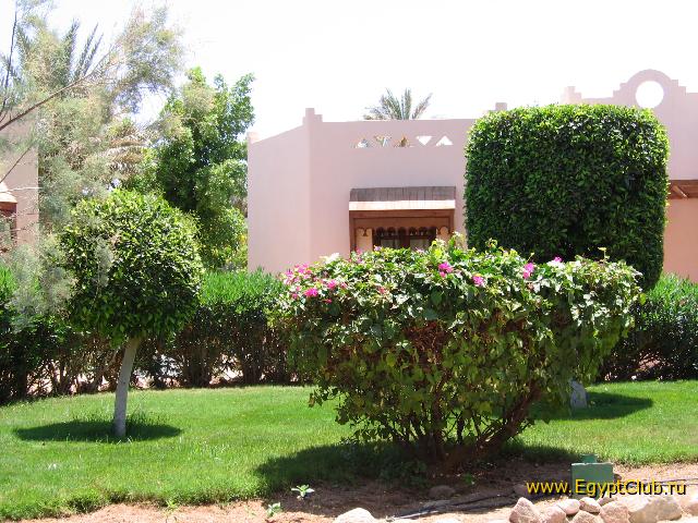 ���������� �����