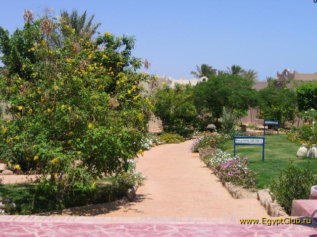 ���������� �����