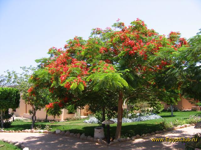 ���������� �����