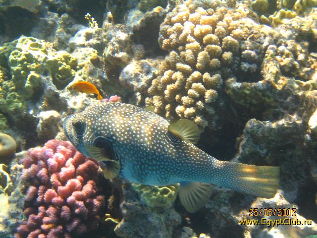,  2005