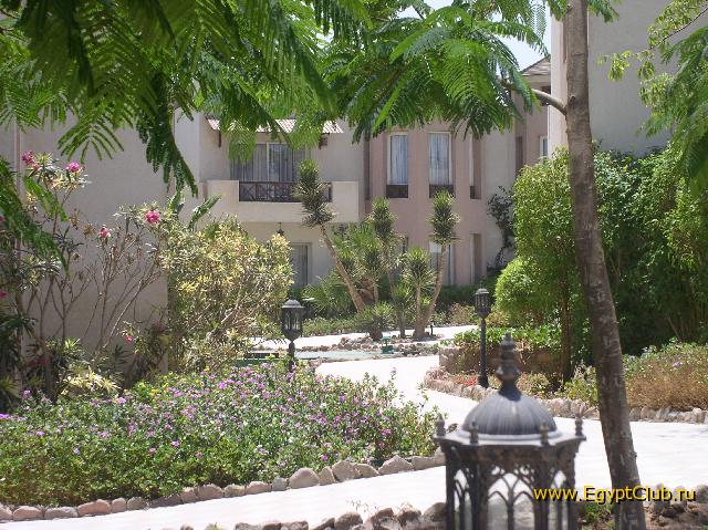 Concorde El Salam. ����������. ����05