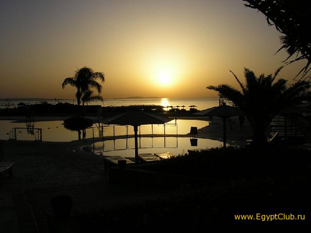 ������� � ��������