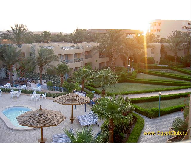 ���� �����