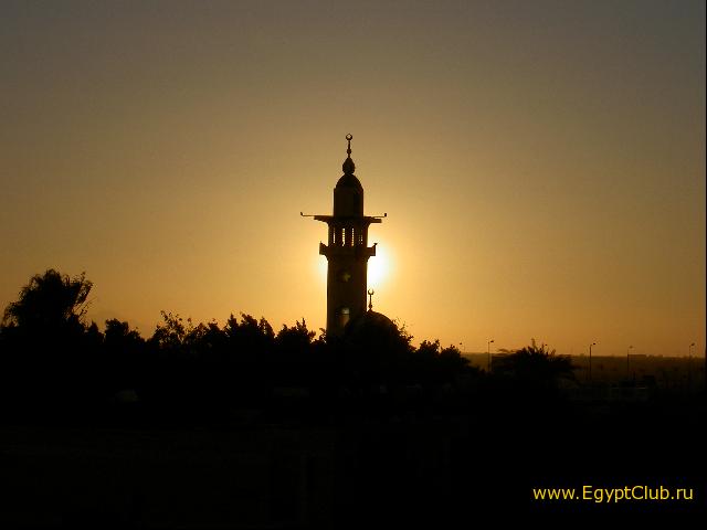 ������ �������� �����