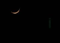 �������� ����