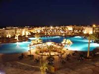 ����� "Desert Rose" �������