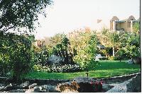 ���������� ������ �����