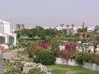 ��� �� 7 �������