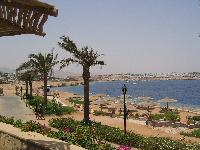 ���� ����� ��� �����