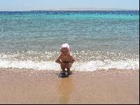 ��� ����� ��� ����