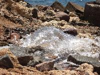 ����� �����