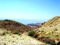 ������� ����.