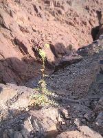 �������... �� ���������