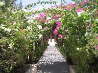 �������� �� �����