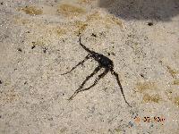 �������� 2004