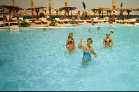 ������ ���������