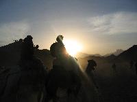 � �������