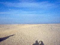 � �������