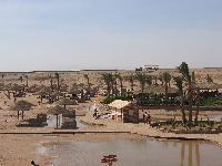 ����-���-����