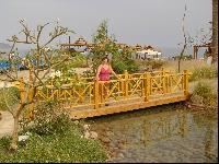 �� ���� �� ����