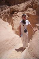 ������� ������