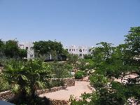 ��� �� ����