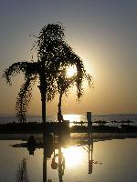 �����, ����