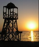 ��� �����