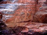 ���� ���.