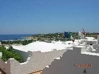 ����� ����� ����