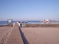 ������ � ����