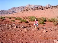 ���� ���. �������� SandStorm.