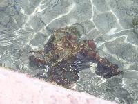 ����������