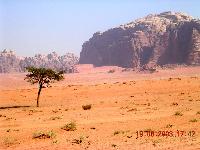 ���� ���.