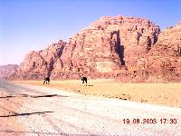 ���� ���.