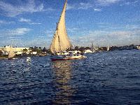 ������ ���