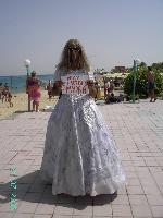 sindbad �������