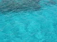 ������� ����