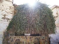 ���������� ������