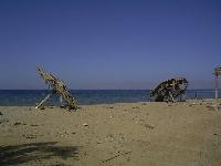 ���...��������� ����...�������