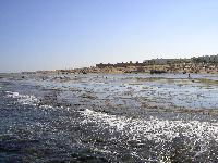 ��� ��� �� ��������� ����� �� ����� ������. � ���������������, �������� � ��������� �������