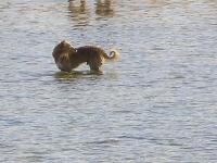 ����� ���, ������� ����� ����......