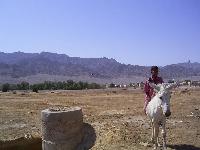 � �������